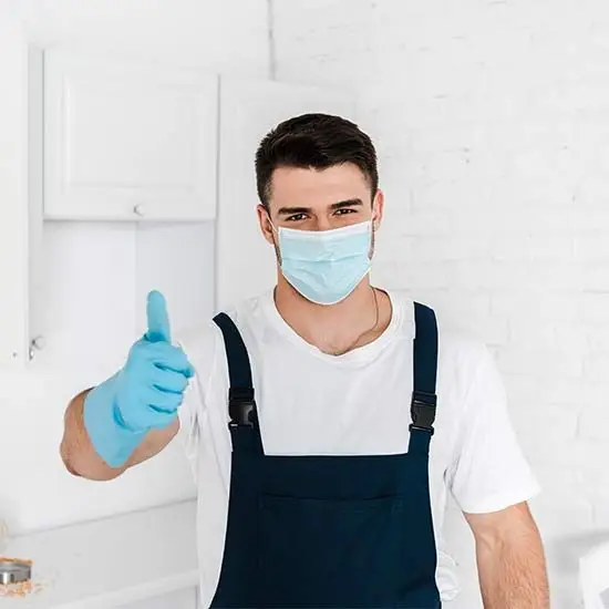 Pest control experts Devon Meadows