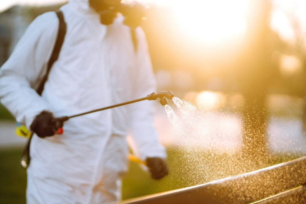Devon Meadows Pest Inspections