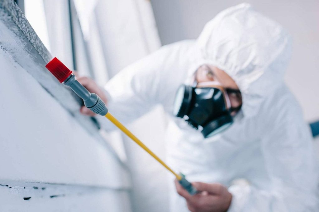 Devon Meadows Pest Controllers